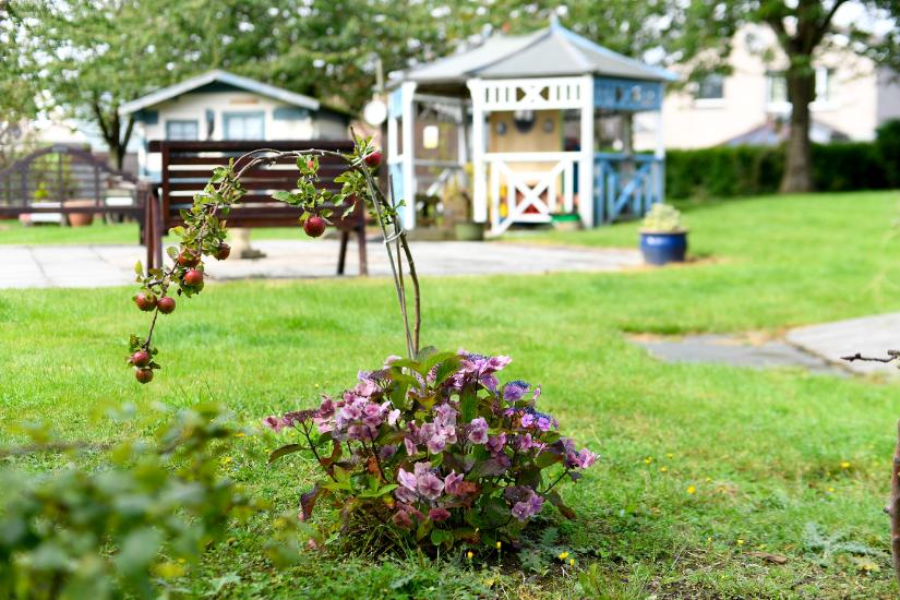 garden