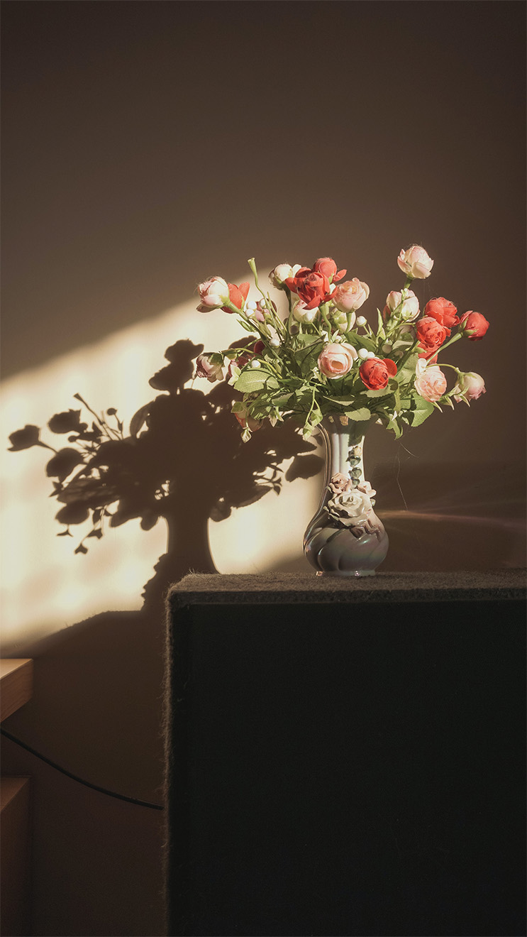 flowers shadow