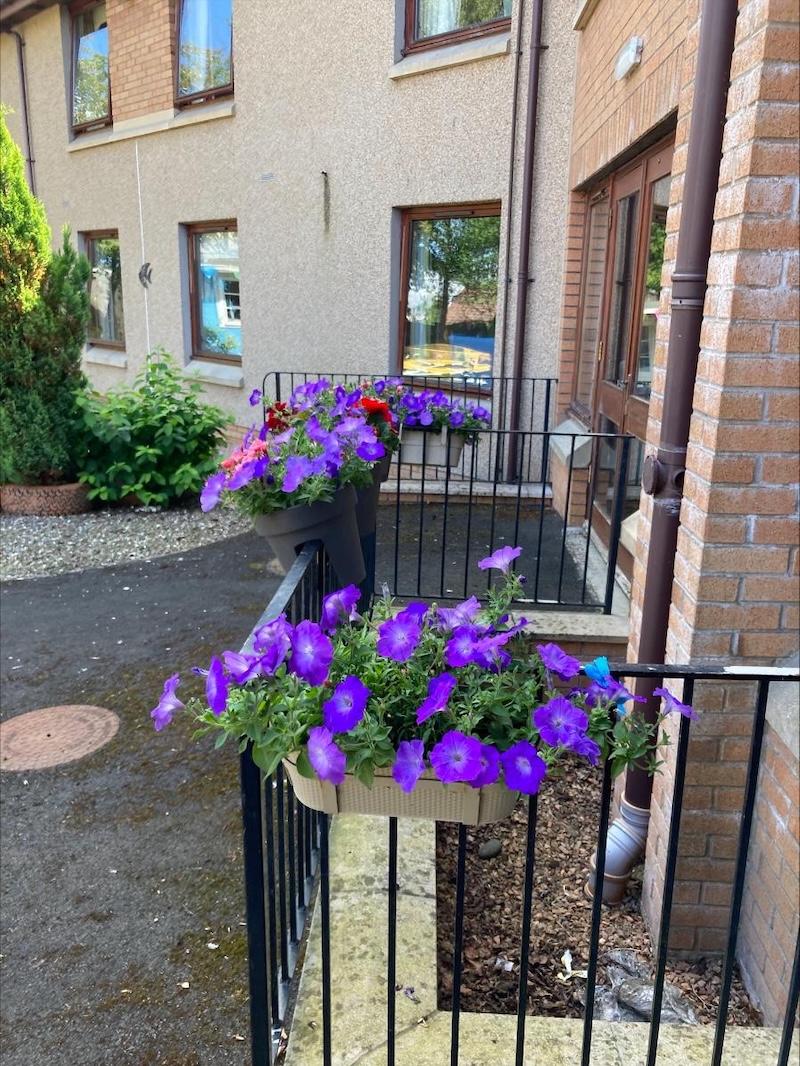 potted flowers hung up on rails outside